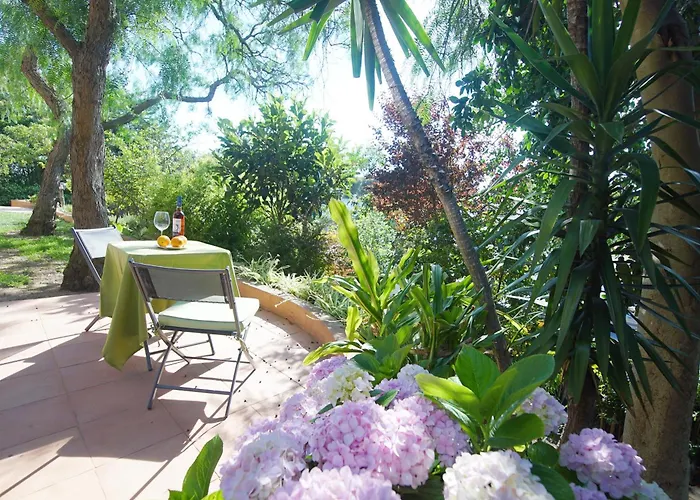Lei Home
